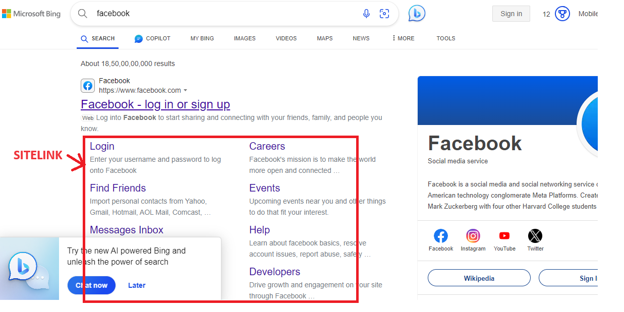 What is SERP – Sitelinks