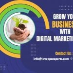 Digital Marketing-Helping Start-Ups to Establish their Business